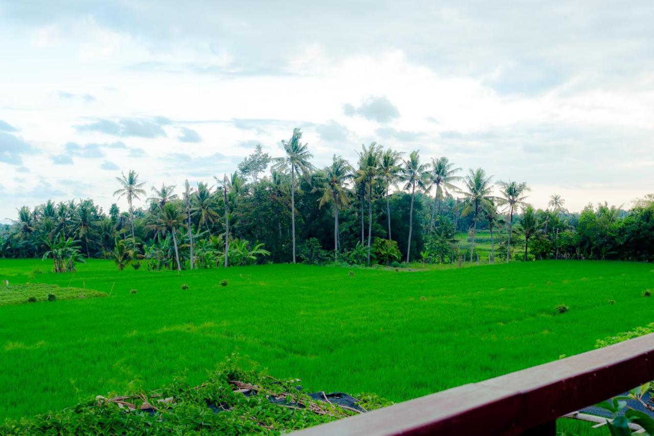 Nauna Villa Ubud Exteriér fotografie