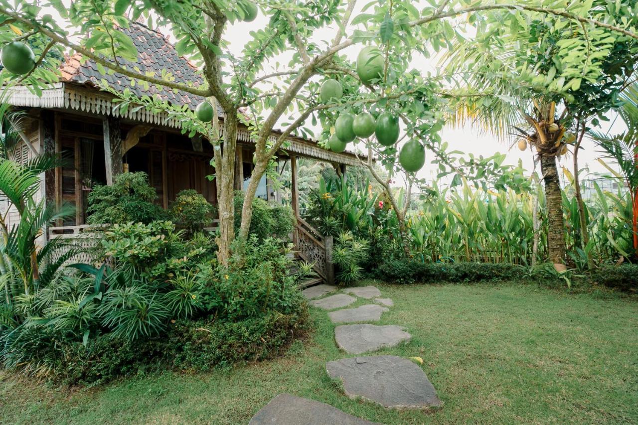 Nauna Villa Ubud Exteriér fotografie