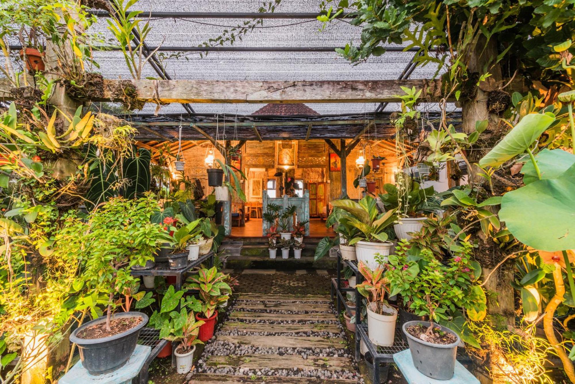 Nauna Villa Ubud Exteriér fotografie